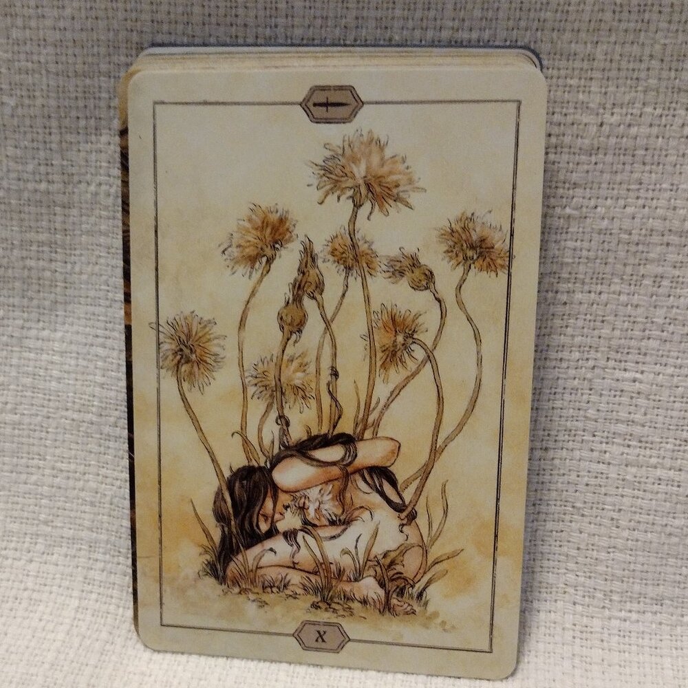 Hush Tarot - Picture 13 of 15